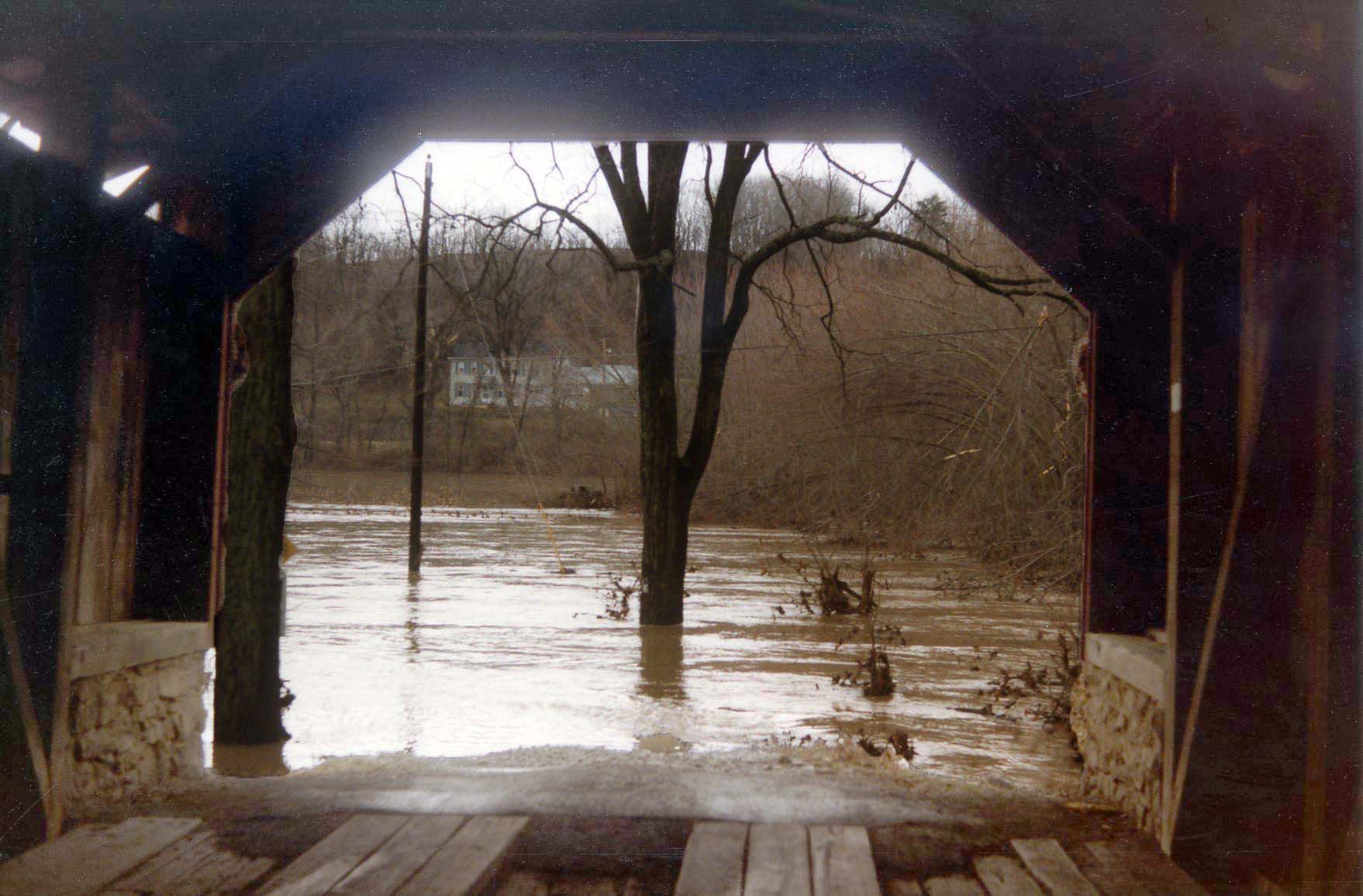 Ramps bridge pic three.jpg